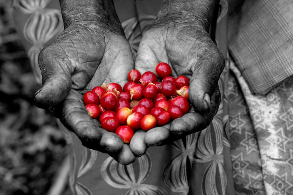 Traditional Coffee Experience